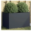 Image de Jardinière, Bac à Fleurs, Pot de Plantes, Boîte à Fleurs, Jardinière Surélevée de Jardin Patio Terrasse, Anthracite 841597