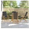 Image de Lot de 4 Chaises Inclinables de Jardin Pliantes avec Coussins, Sièges avec Accoudoirs, Fauteuils avec Dossier de 3208929