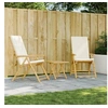 Image de Lot de 2 Chaises Inclinables de Jardin Pliantes avec Coussins, Sièges avec Accoudoirs, Fauteuils avec Dossier de 365875