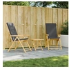 Image de Lot de 2 Chaises Inclinables de Jardin Pliantes avec Coussins, Sièges avec Accoudoirs, Fauteuils avec Dossier de 365876