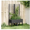 Image de Jardinière avec Treillis, Lit Surélevé de Jardin, Pot de Fleurs, Bac à Plantes, Boîte de Plantation Patio Terrasse 367923
