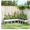 Image de Jardinière avec Treillis, Lit Surélevé, Bac à Fleurs, Pot de Plantes, Boîte à Fleurs Jardin Patio Terrasse Extérieur, 367944