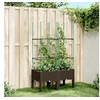 Image de Plantenbak met latwerk 80x40x142,5 cm polypropeen bruin367955
