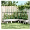 Image de Plantenbak met latwerk 200x160x142,5 cm polypropeen wit367974