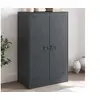 Image de Buffet anthracite 67x39x107 cm acier