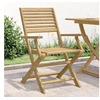 Image de Lot de 2 Chaises Pliables de Jardin, Sièges avec Dossier, Meubles de Patio Terrasse Extérieur, Moderne, Bois Massif 365737