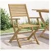 Image de Lot de 4 Chaises Pliables de Jardin, Sièges avec Dossier, Meubles de Patio Terrasse Extérieur, Moderne, Bois Massif 365738