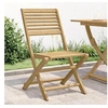 Image de Lot de 2 Chaises Pliables de Jardin, Sièges avec Dossier, Meubles de Patio Terrasse Extérieur, Moderne, Bois Massif 365739