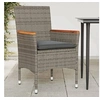 Image de Lot de 2 Chaises de Jardin avec Coussins, Sièges avec Accoudoirs, Fauteuils avec Dossier, Meubles de Terrasse, 368120