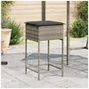 Image de Tabourets de bar jardin coussins lot de 2 gris résine tressée