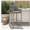 Image de Tabourets de bar jardin coussins lot de 2 gris résine tressée