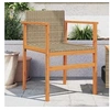 Image de Lot de 2 Chaises de Jardin, Sièges avec Accoudoirs, Fauteuils avec Dossier Patio, Moderne, Beige Résine Tressée et 368710