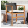 Image de Lot de 2 Chaises de Jardin avec Coussins, Sièges avec Accoudoirs, Fauteuils de Terrasse Patio, Moderne, Noir Résine 368711