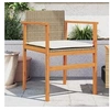 Image de Lot de 2 Chaises de Jardin avec Coussins, Sièges avec Accoudoirs, Fauteuils de Terrasse Patio, Moderne, Beige Résine 368713