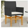 Image de Lot de 2 Chaises de Jardin avec Coussins, Sièges avec Accoudoirs, Fauteuils de Terrasse Patio, Moderne, Noir Résine 368714