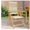 Image de Chaises de jardin lot de 2 beige bois d'acacia et polypropylène, siège de jardin, assise extérieure, chaise pliable, 367656