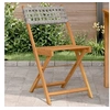 Image de Chaises de bistrot lot de 2 gris bois massif d'acacia et rotin, chaise de bistro d'extérieur, chaise pliable, chaise 367676