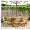 Image de Chaises de jardin pliantes lot de 6 beige bois d acacia massif
