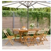 Image de Chaises de jardin pliantes lot de 6 beige rotin et bois massif, siège de jardin, chaise de patio, chaise à manger de 3214599