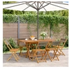 Image de Chaises de jardin pliables lot de 6 gris bois d acacia massif