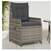 Image de Chaises inclinables de jardin lot de 2 gris résine tressée, fauteuil de jardin inclinable, fauteuil inclinable de 368654