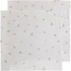 Image de Lange bébé Baby's Only Tender (x2) Vert 65x65 cm BO-104.083.114.48