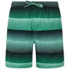 Image de Protest Short De Bain Radar