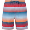 Image de Protest Short De Bain Radar