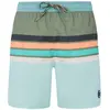 Image de Protest Short De Bain Avik