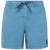 Image de Protest Short De Bain Raptor