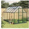 Image de Tuinkas met basisframe 334x169x202 cm aluminium groen3266330
