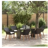 Image de Ensemble de salle à manger de jardin 7 pièces Noir Poly Rotin 3261621
