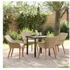 Image de Ensemble de salle à manger de jardin 5 pièces en rattan poly beige 3261699