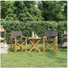 Image de Chaises de metteur en scène pliantes lot de 2 Bois teck massif 4008513
