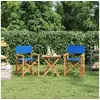 Image de Chaises de metteur en scène pliantes lot de 2 Bois teck massif
