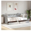Image de Lit de Jour avec Tiroirs, Canapé-lit avec Rangement, Lit d'Invité, Meuble de Salon Chambre à Coucher, Moderne, Gris 3280842