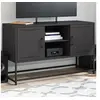 Image de Meuble TV noir 100,5x39x60,5 cm acier, support TV, buffet TV, meuble multimédia, banc TV, armoire hifi, centre de 846512