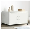 Image de Table Basse, Table d'Appoint avec Poignée, Bout de Canapé avec Porte, Meuble de Rangement Salle de Séjour, Blanc 846691