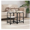 Image de Tables basses avec dessus en verre transparent 2 pcs acier, table d'appoint, table de salon, table à thé, bout de 845999