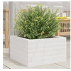 Image de Jardinière blanc 40x40x23 cm bois de pin massif, jardinière d'extérieur, bac à fleurs, boîte à plantes, jardinière de 847179