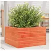 Image de Jardinière cire marron 40x40x23 cm bois de pin massif