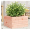 Image de Jardinière 40x40x23 cm bois massif de douglas, jardinière d'extérieur, bac à fleurs, boîte à plantes, jardinière de 847181