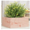 Image de Jardinière 50x50x23 cm bois massif douglas