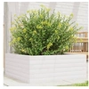Image de Jardinière blanc 60x60x23 cm bois de pin massif, jardinière d'extérieur, bac à fleurs, boîte à plantes, jardinière de 847189