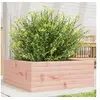 Image de Jardinière 60x60x23 cm bois massif douglas