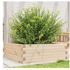 Image de Jardinière 70x70x23 cm bois de pin massif