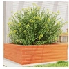Image de Jardinière cire marron 70x70x23 cm bois de pin massif