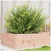 Image de Jardinière 70x70x23 cm bois massif douglas