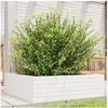 Image de Jardinière blanc 80x80x23 cm bois de pin massif
