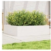 Image de Jardinière blanc 90x90x23 cm bois de pin massif
